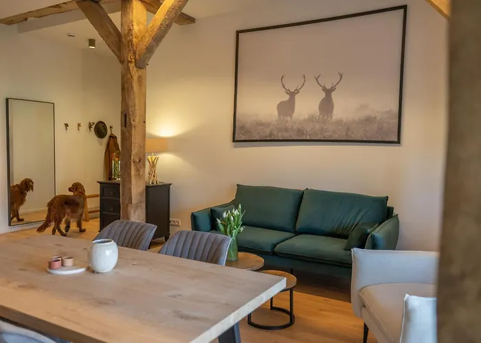 Reethus 22 Loft 3 Appartement